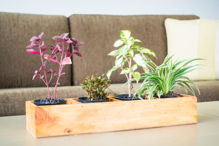 diy planter ideas