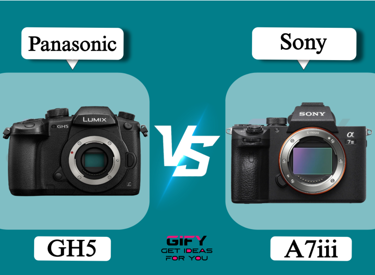 Panasonic gh5 vs Sony a7iii