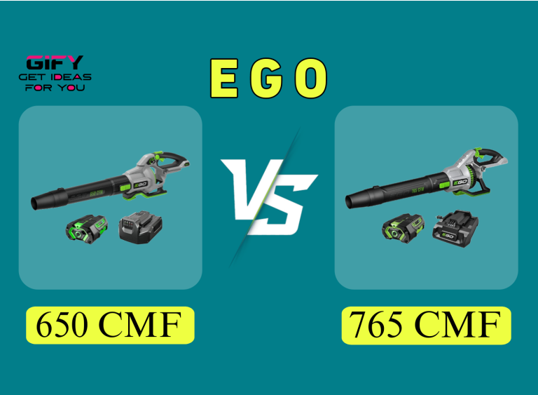 ego 650 vs 765