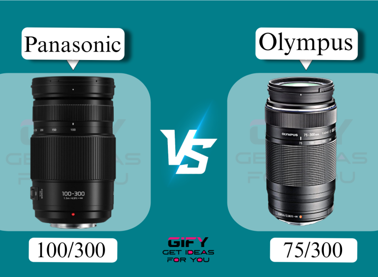 panasonic 100 300 vs olympus 75 300