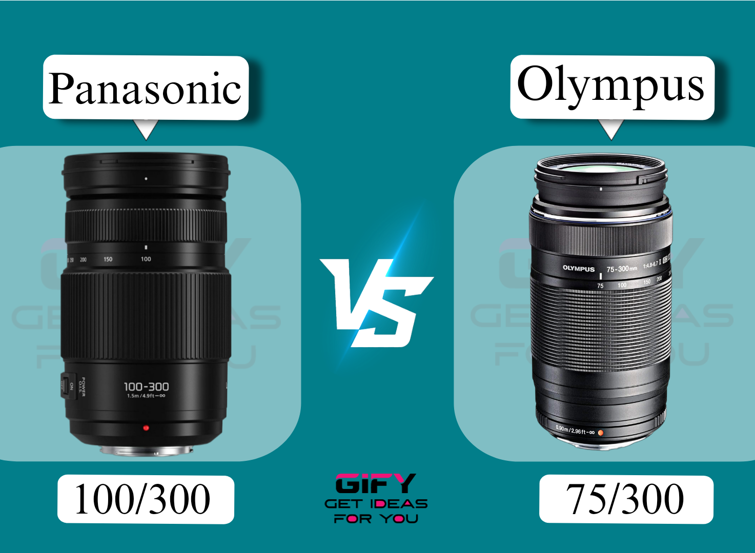 panasonic 100 300 vs olympus 75 300