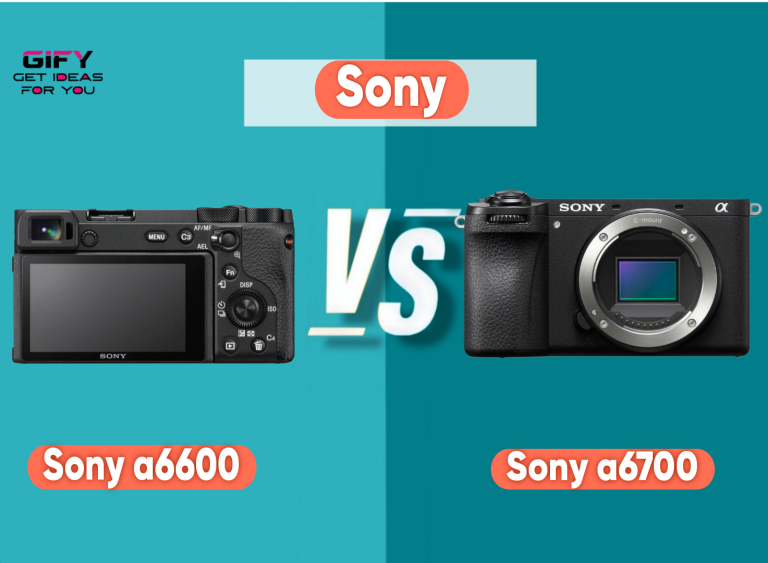 sony a6600 vs a6700