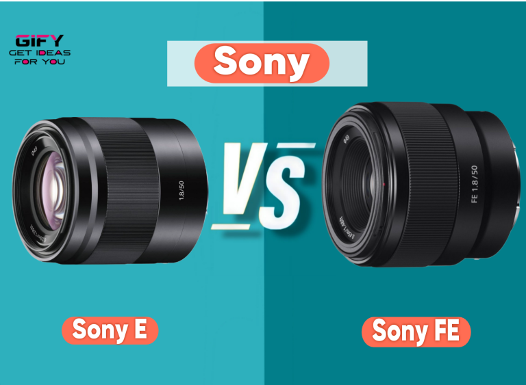 sony e vs fe